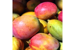 Image Pile of mangoes in the supermarket